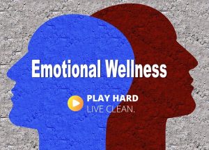 emotional wellness word art- red face- blue face PHLC logo