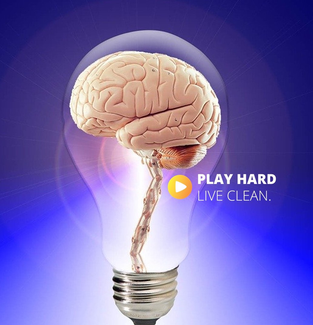 intellectual-wellness-play-hard-live-clean