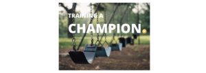 swings- training a champion logo